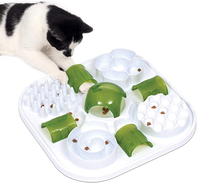 stimulera din katt med en matlabyrint